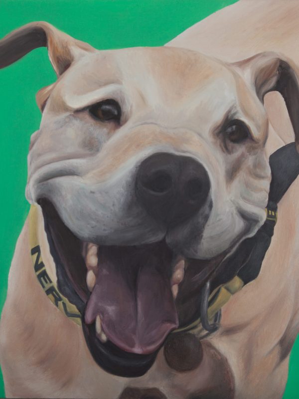 Oil Portrait of Golden Retriver