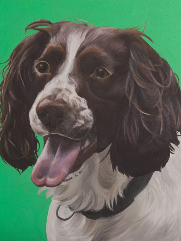 Oil Painting of Dog Spaniel